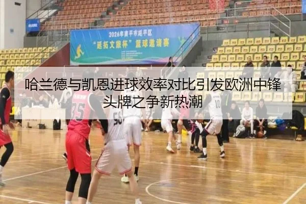 哈兰德与凯恩进球效率对比引发欧洲中锋头牌之争新热潮